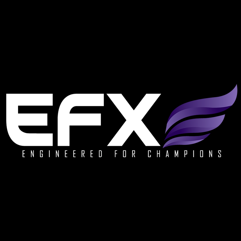 Apparel EFX Logo